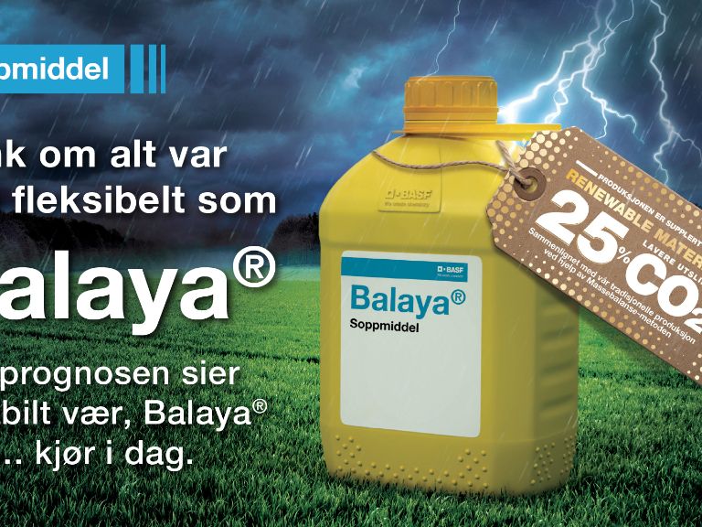 Balaya-NO-kv01_without_logo-1