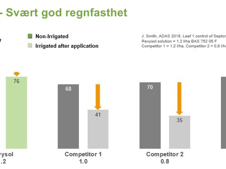 Revysol_regnfasthet